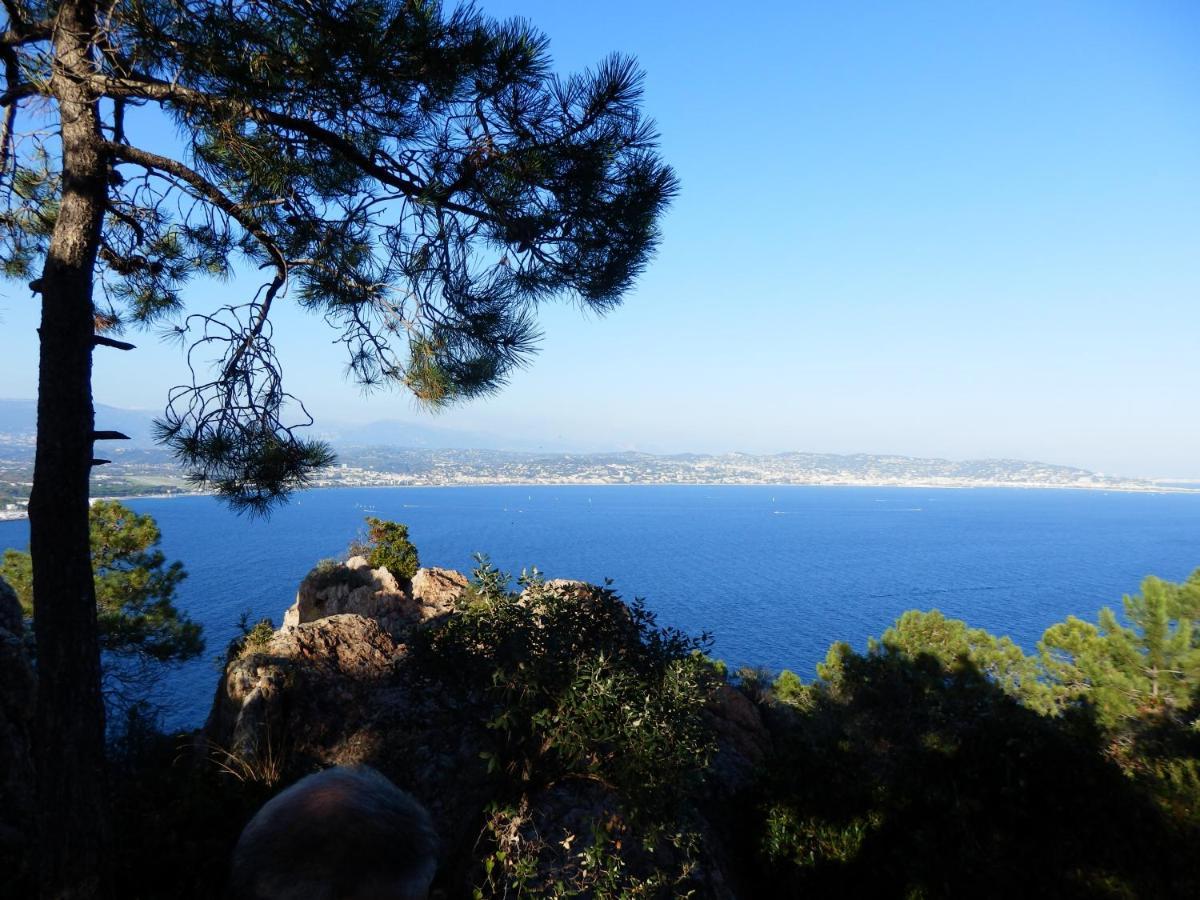 Esterel Terrasses, Roof Top, Plage, Parking Payant Cannes Eksteriør billede