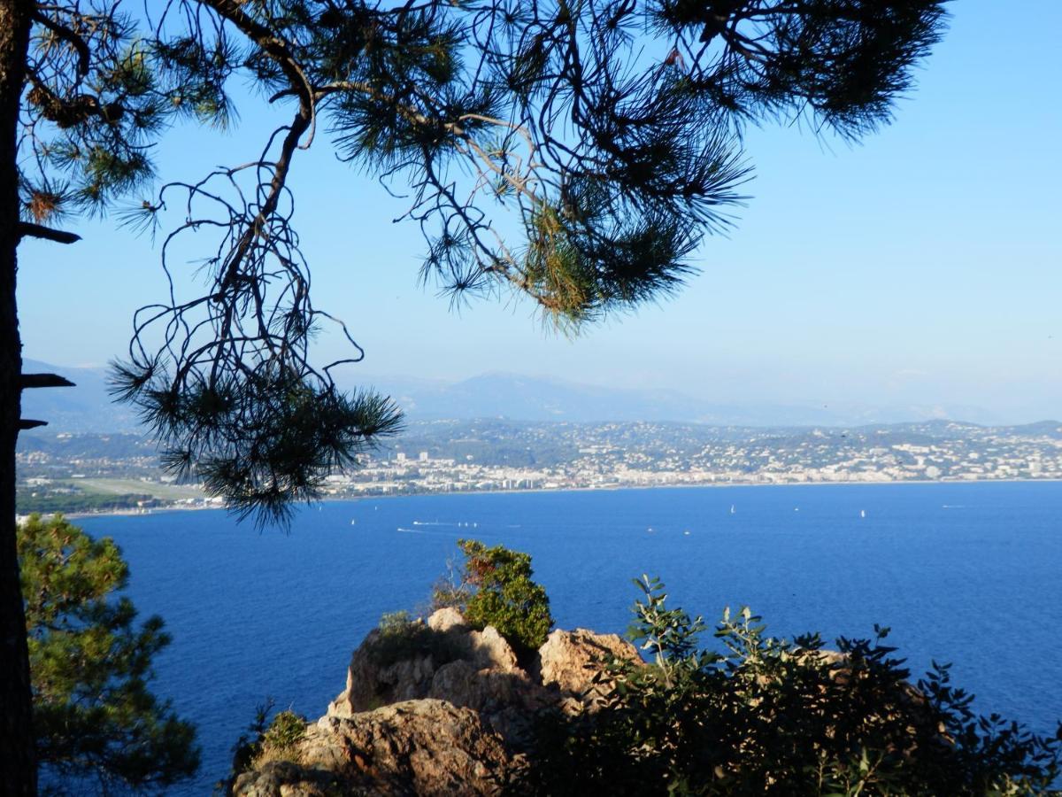Esterel Terrasses, Roof Top, Plage, Parking Payant Cannes Eksteriør billede