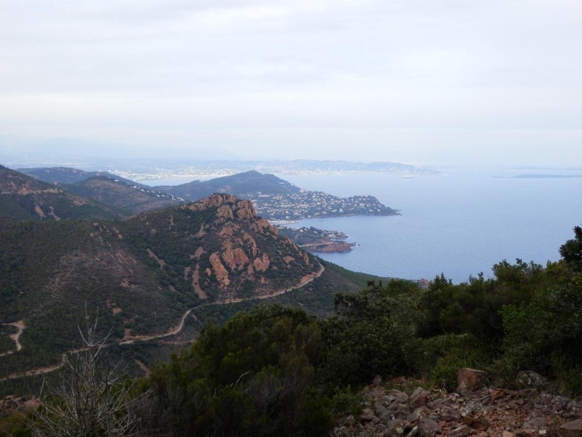 Esterel Terrasses, Roof Top, Plage, Parking Payant Cannes Eksteriør billede