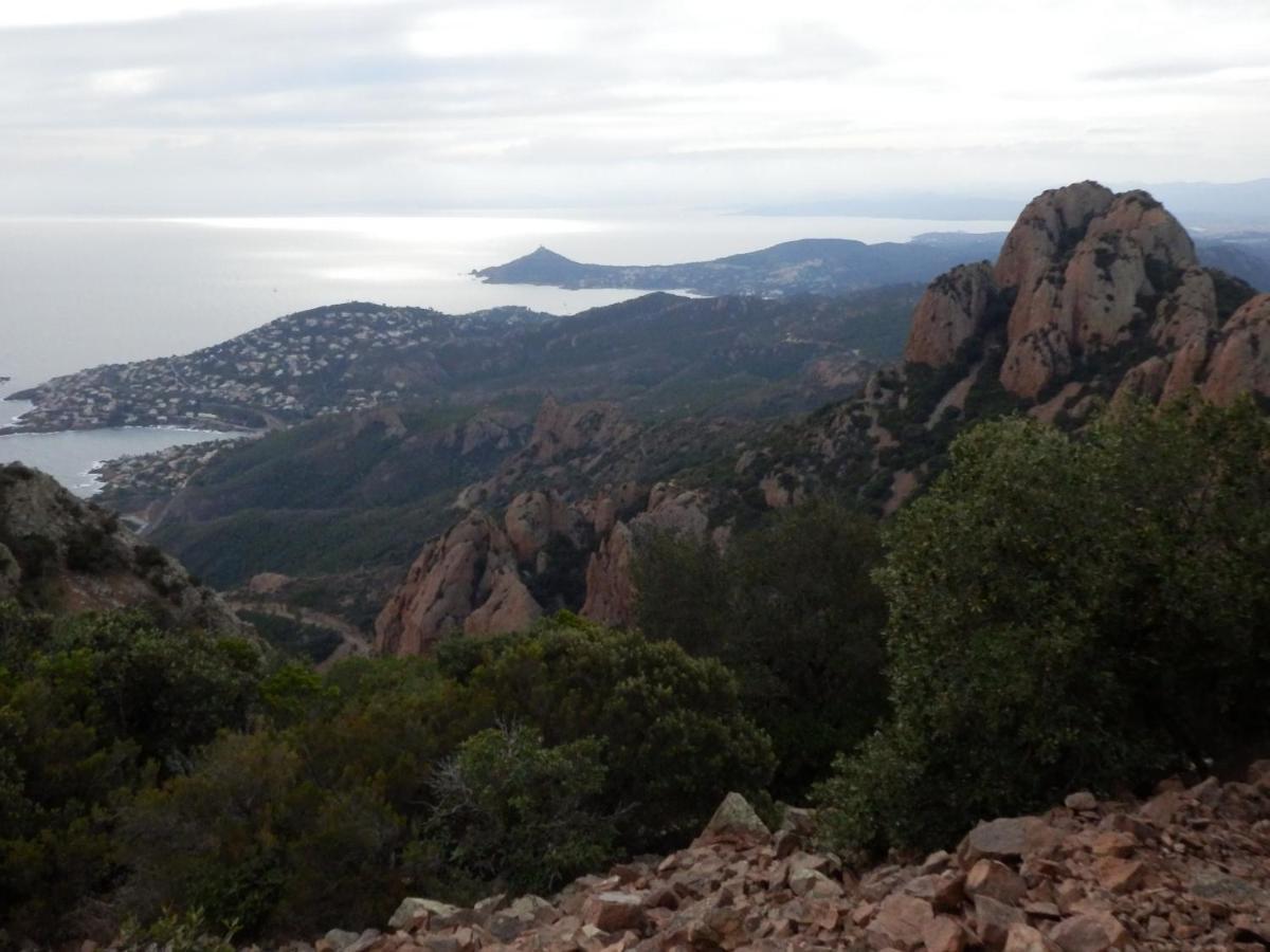 Esterel Terrasses, Roof Top, Plage, Parking Payant Cannes Eksteriør billede